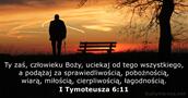I Tymoteusza 6:11