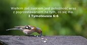 I Tymoteusza 6:6