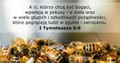 I Tymoteusza 6:9