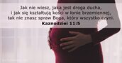 Kaznodziei 11:5