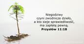 Przysłów 11:18
