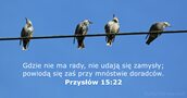 Przysłów 15:22