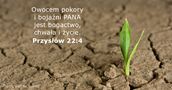 Przysłów 22:4