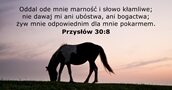 Przysłów 30:8