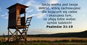 Psalmów 31:19