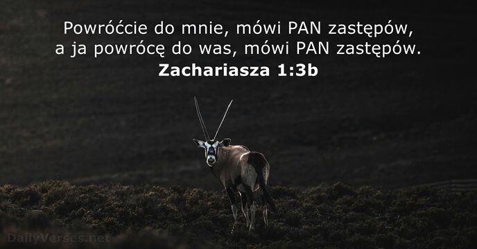 Zachariasza 1:3b