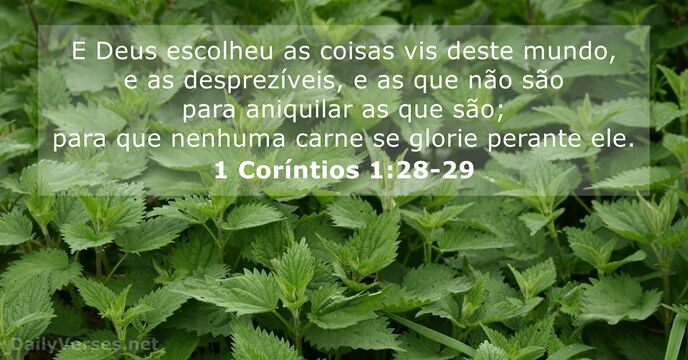 1-corintos 1:28-29
