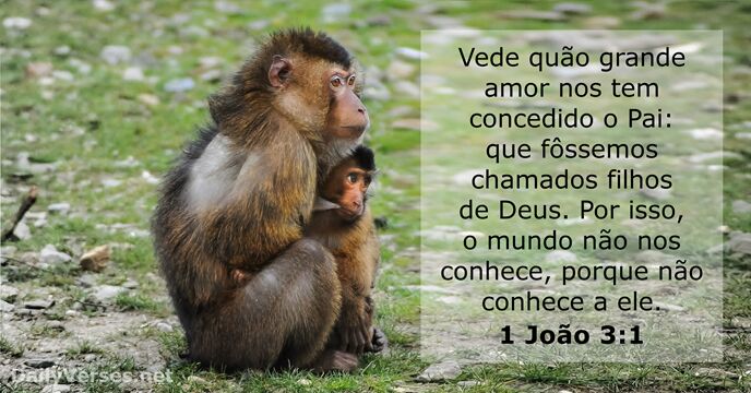 1-joao 3:1