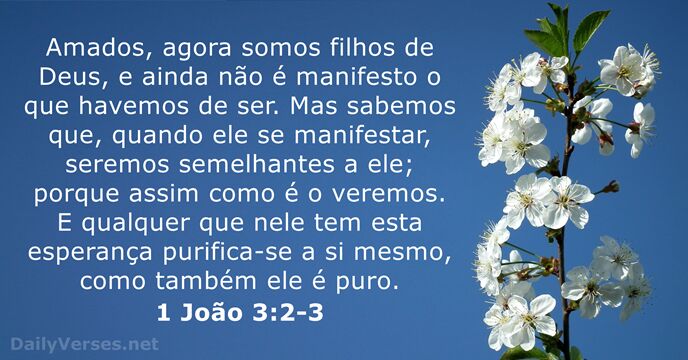 1 João 3:2-3
