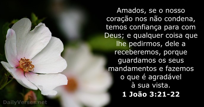 1-joao 3:21-22