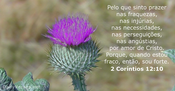 2-corintos 12:10