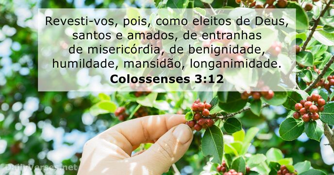 colossenses 3:12
