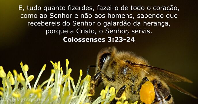 colossenses 3:23-24