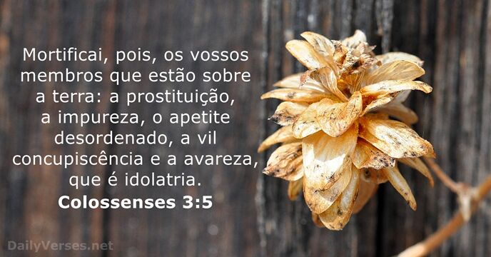 colossenses 3:5