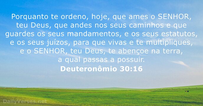 Deuteronômio 30:16