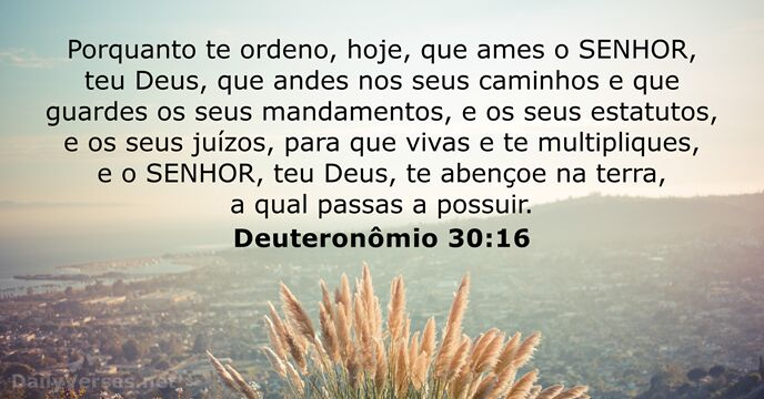 deuteronomio 30:16