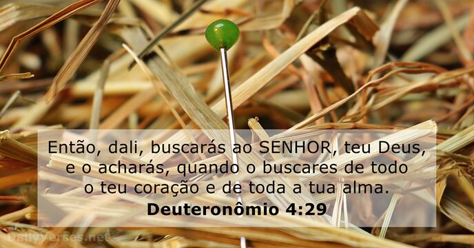 deuteronomio 4:29