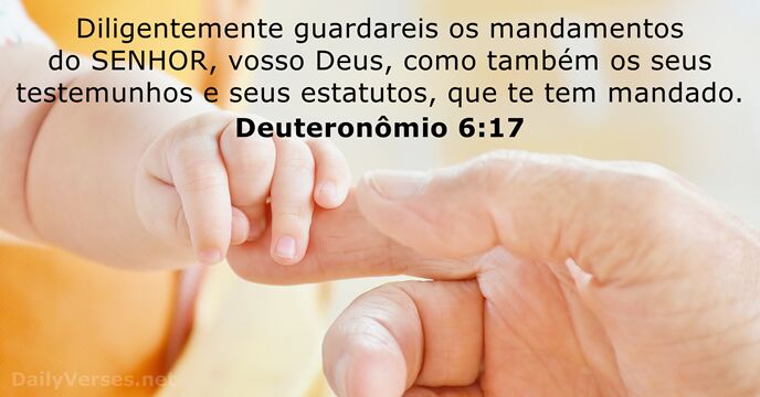 deuteronomio 6:17