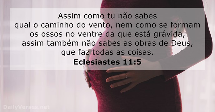 eclesiastes 11:5