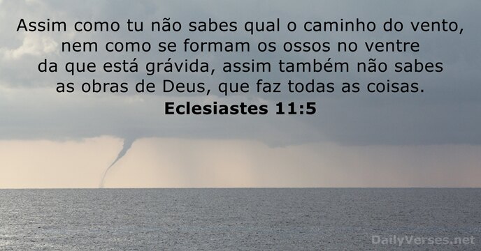eclesiastes 11:5
