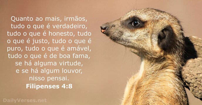 filipenses 4:8