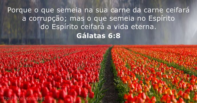galatas 6:8