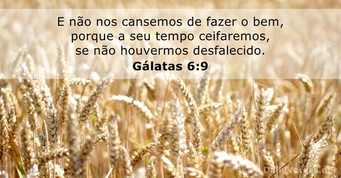galatas 6:9