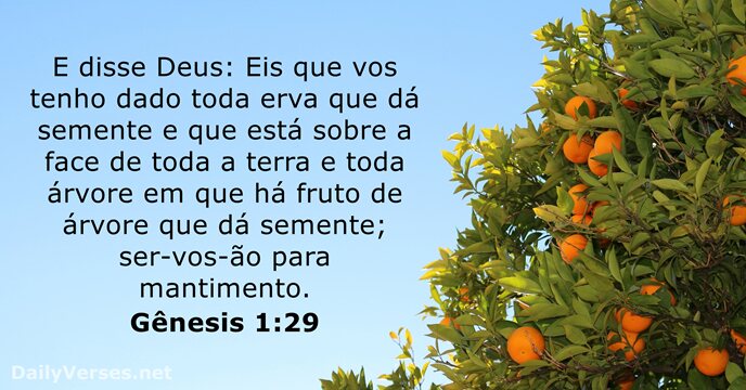 genesis 1:29
