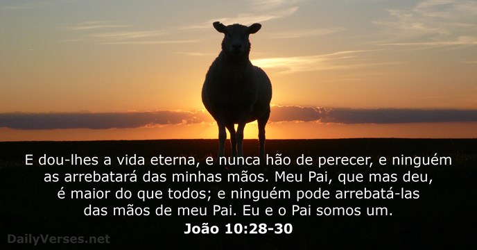 joao 10:28-30