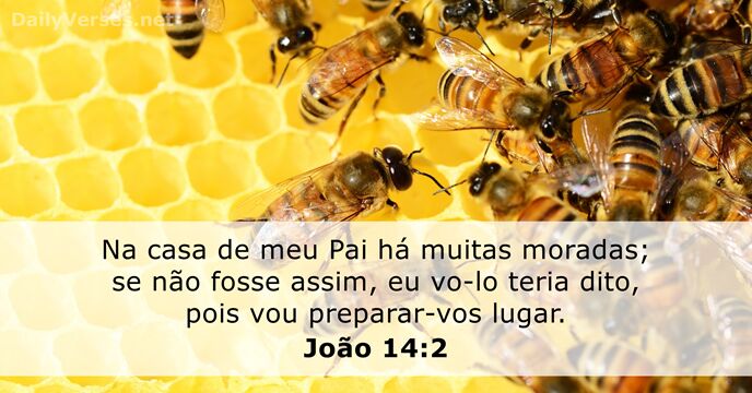 joao 14:2