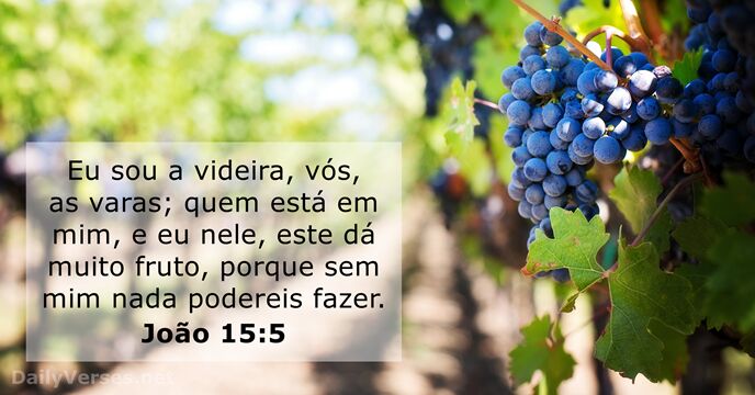 joao 15:5