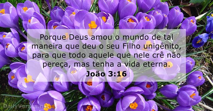 joao 3:16