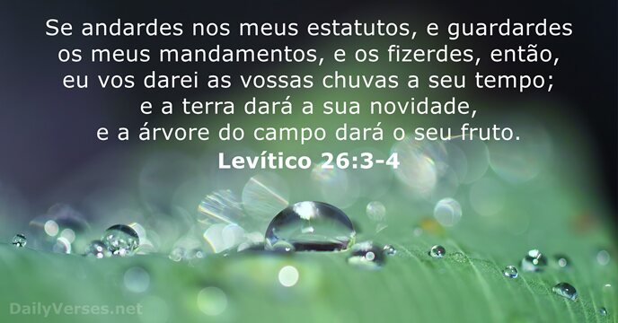 Levítico 26:3-4