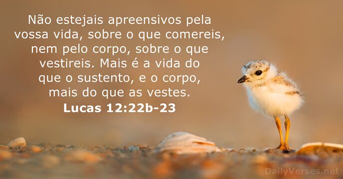 lucas 12:22b-23