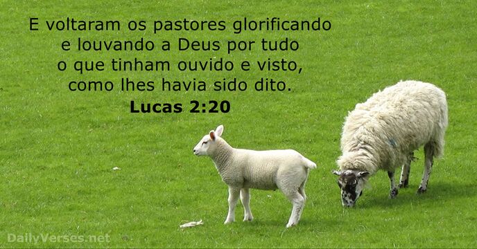 lucas 2:20