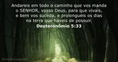 Deuteronômio 5:33