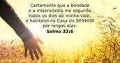 salmos 23:6