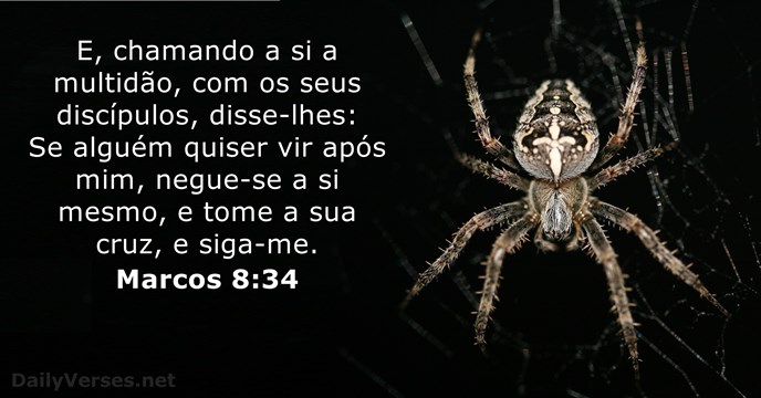marcos 8:34