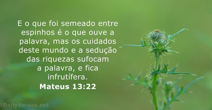 mateus 13:22