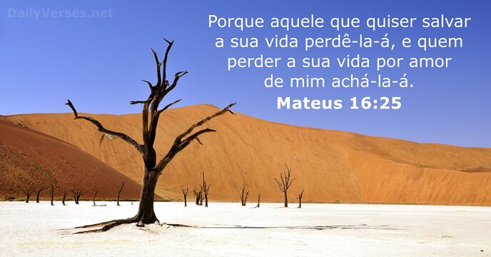 mateus 16:25