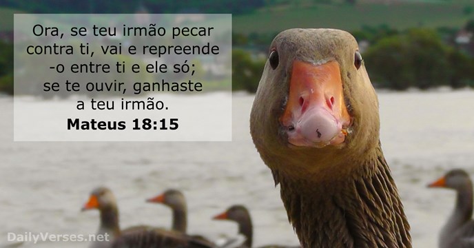 mateus 18:15