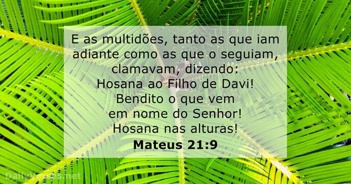 mateus 21:9