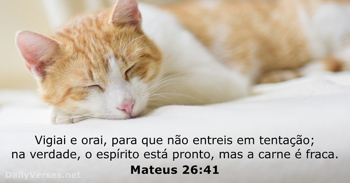 mateus 26:41