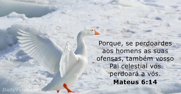 mateus 6:14