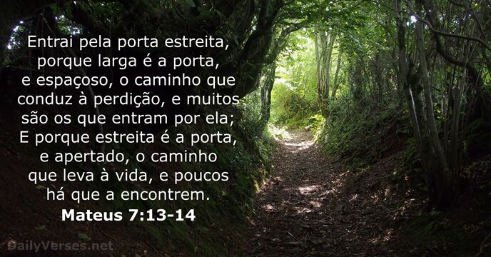 mateus 7:13-14