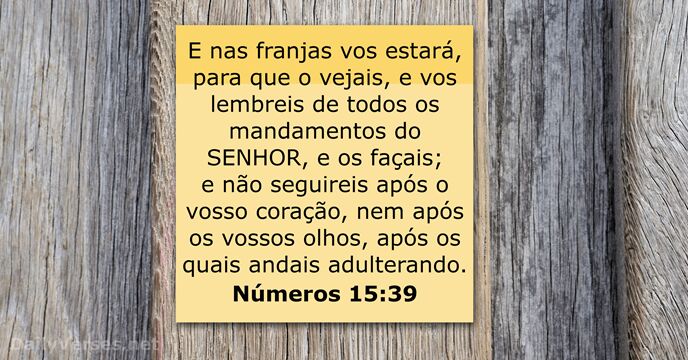Números 15:39