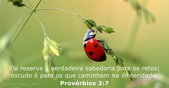 proverbios 2:7