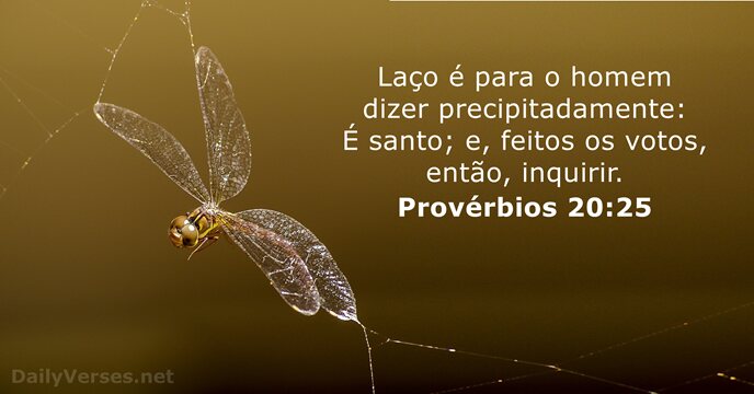 proverbios 20:25