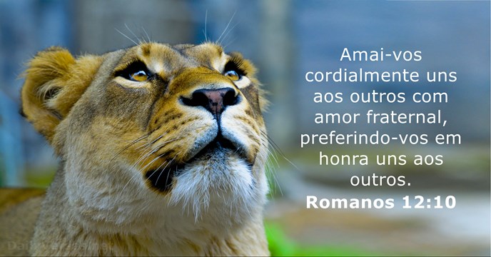 romanos 12:10