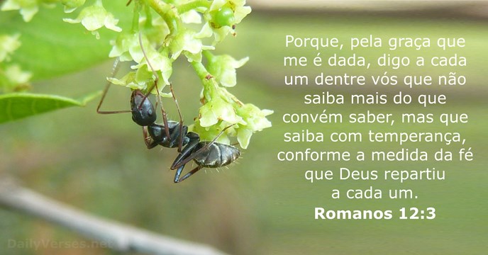 romanos 12:3